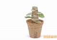社保卡有哪两个账户 原来是这两账户