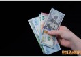 农商银行阳光e贷申请条件 有什么申请条件