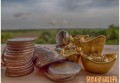 上市公司必须分红吗 答案是这样的