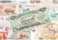 京东白条在哪里关闭 有两种情况