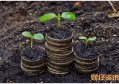 光大小黄鸭信用卡额度一般多少 有年费吗
