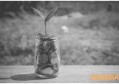 lpr与基准利率区别 主要体现在这些方面