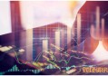 黄金ETF手续费是多少钱 以上金所标的为例