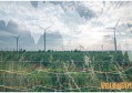 微信怎么查医保卡明细 查询方式如下