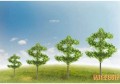 银行卡消磁了可以原号码补办吗 规定如下