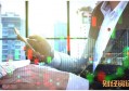 支付宝里的基金怎么玩 基金种类及挑选方法介绍